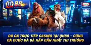 Đá Gà Trực Tiếp Casino Tại Qh88 - Cổng Cá Cược Đá Gà Hấp Dẫn Nhất Thị Trường